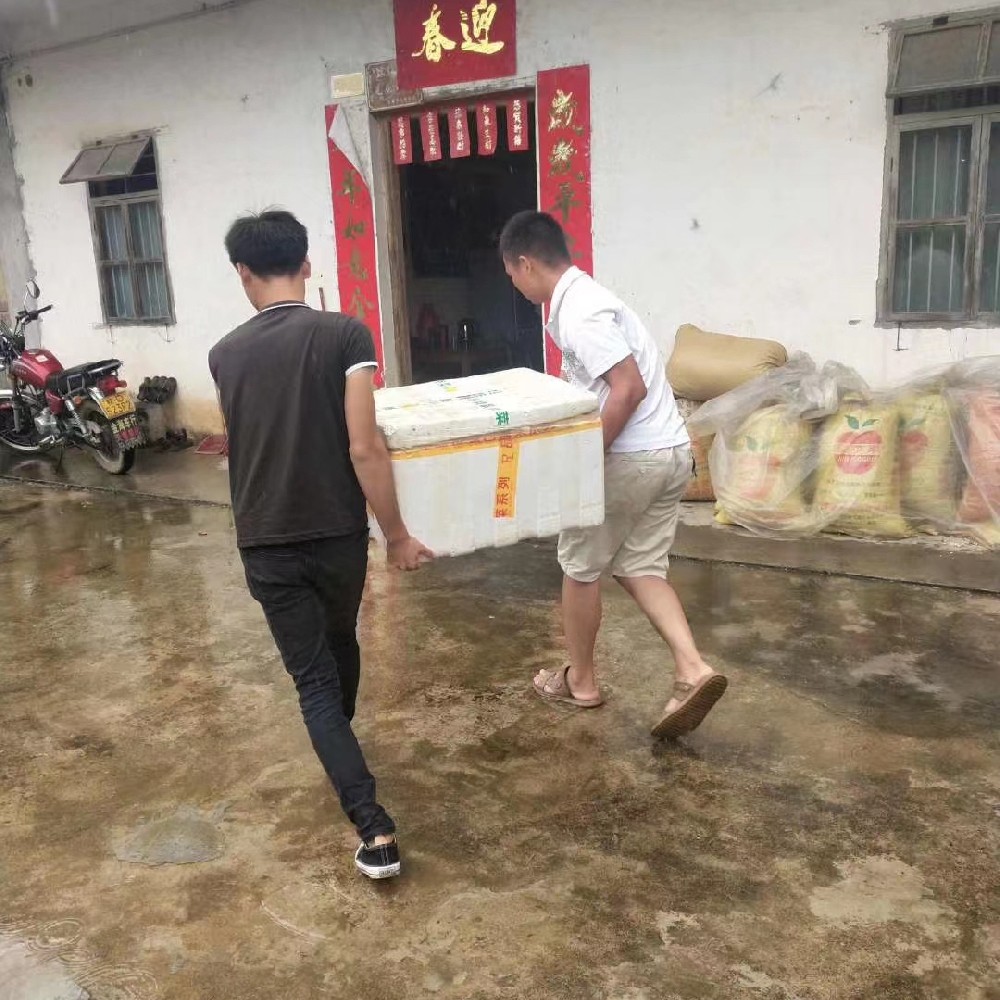 送苗