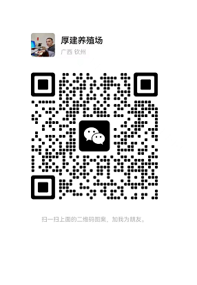 图片.png