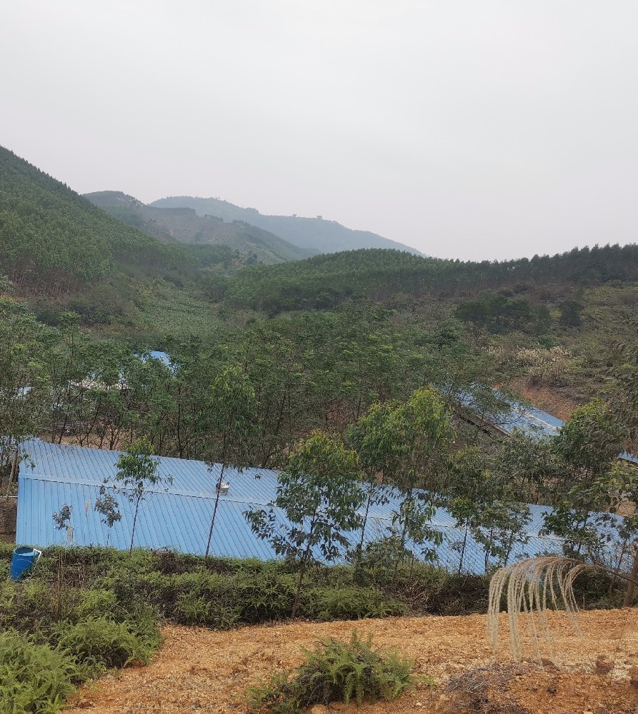基地风貌