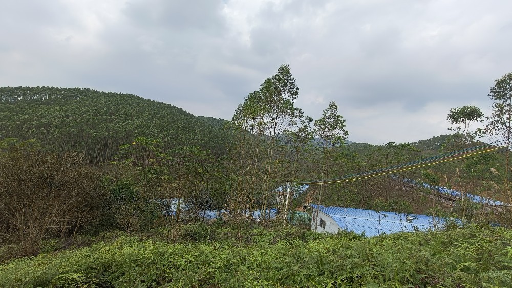 养殖场环境